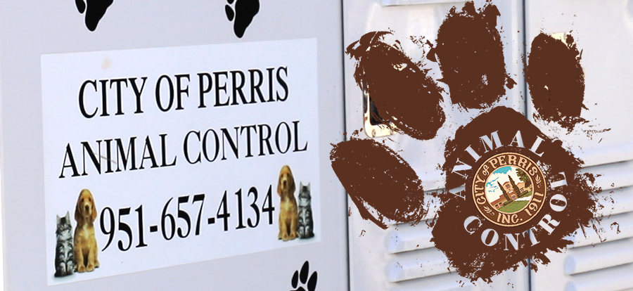 Animal Control Banner