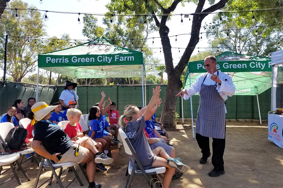 Chef in the Garden Q and A