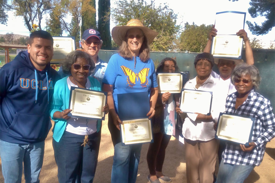 Garden Workshops certificate