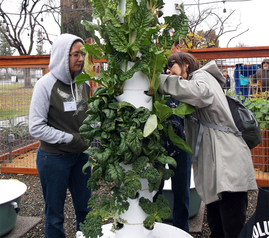 Garden Workshops cultivation