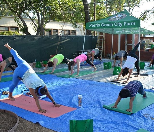 Green City Farm Yoga