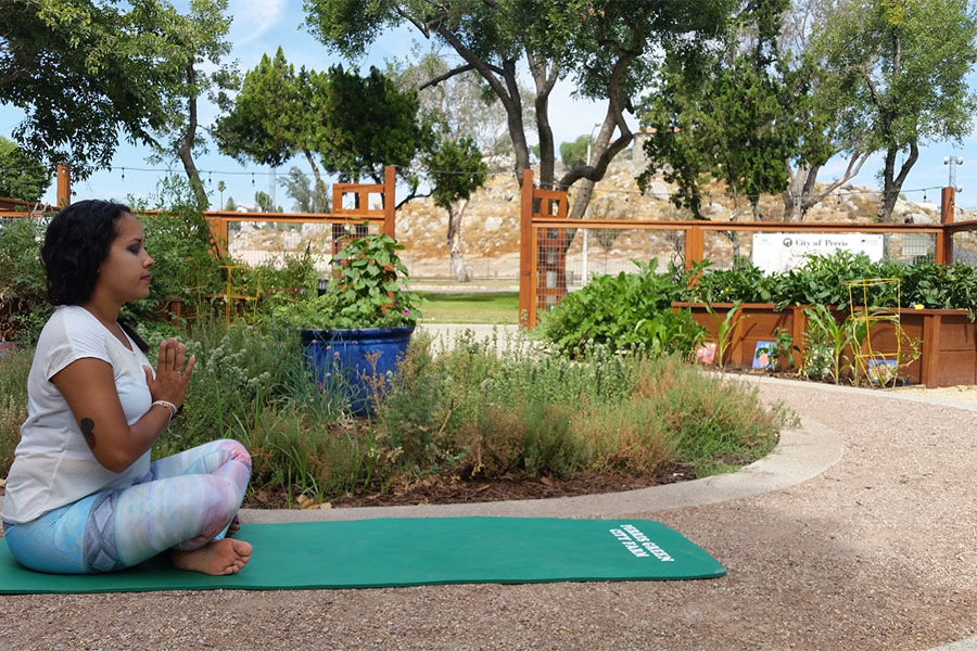 Yoga in the Garden